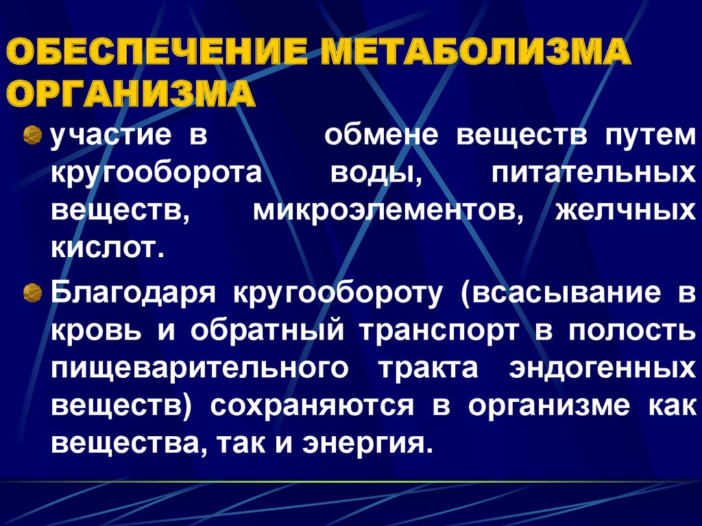 Катализаторы обмена веществ в организме