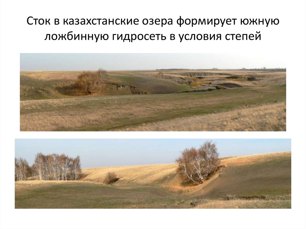 Сток в казахстанские озера формирует южную ложбинную гидросеть в условия степей