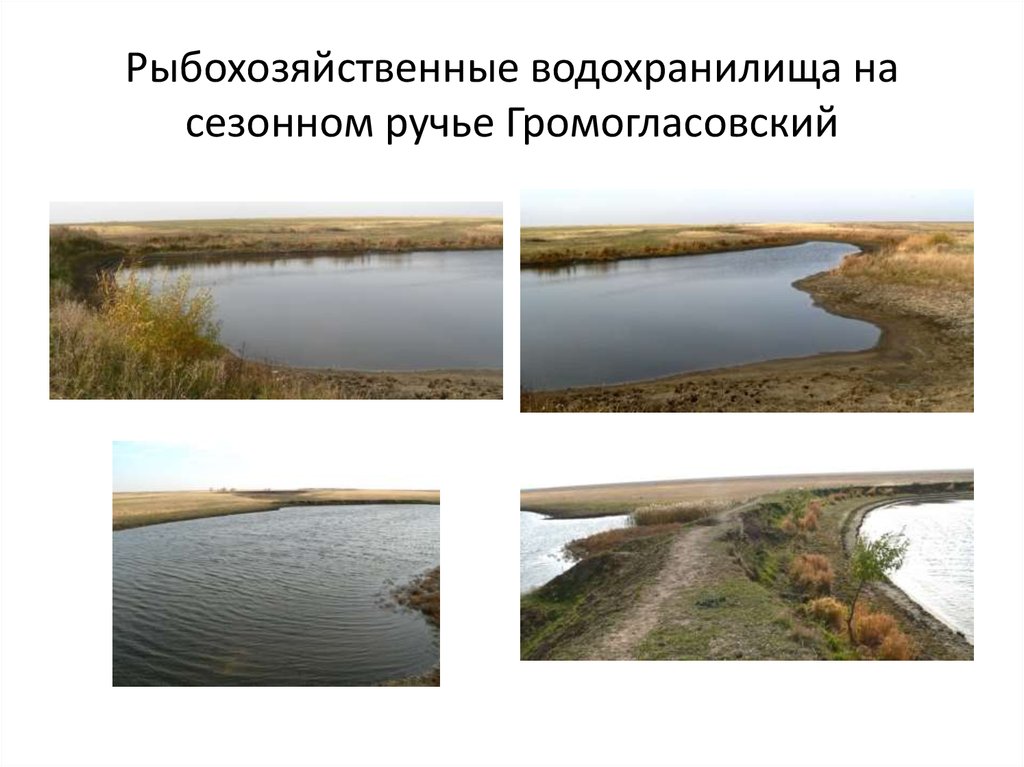Рыбохозяйственные водохранилища на сезонном ручье Громогласовский