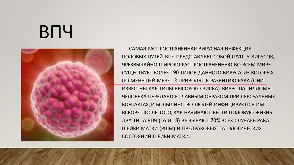 Папиломы вирус передается от человека к человеку. Вирус папилломы человека (ВПЧ). Вирус папилломы человека фото.