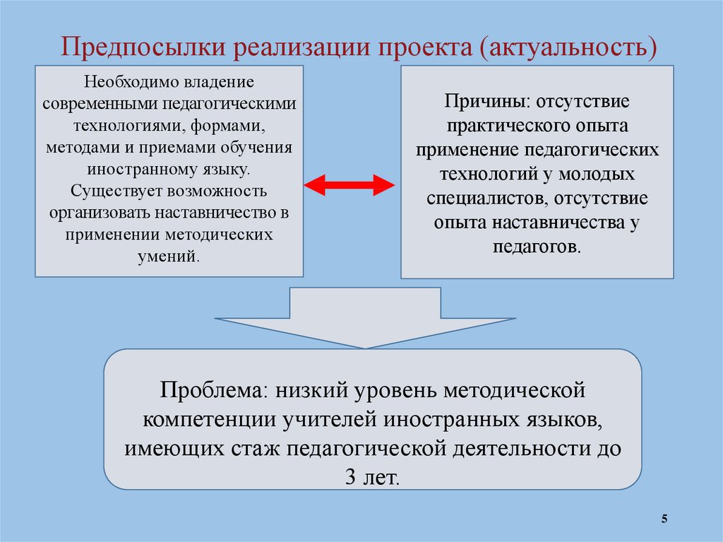 Предпосылки реализации проекта