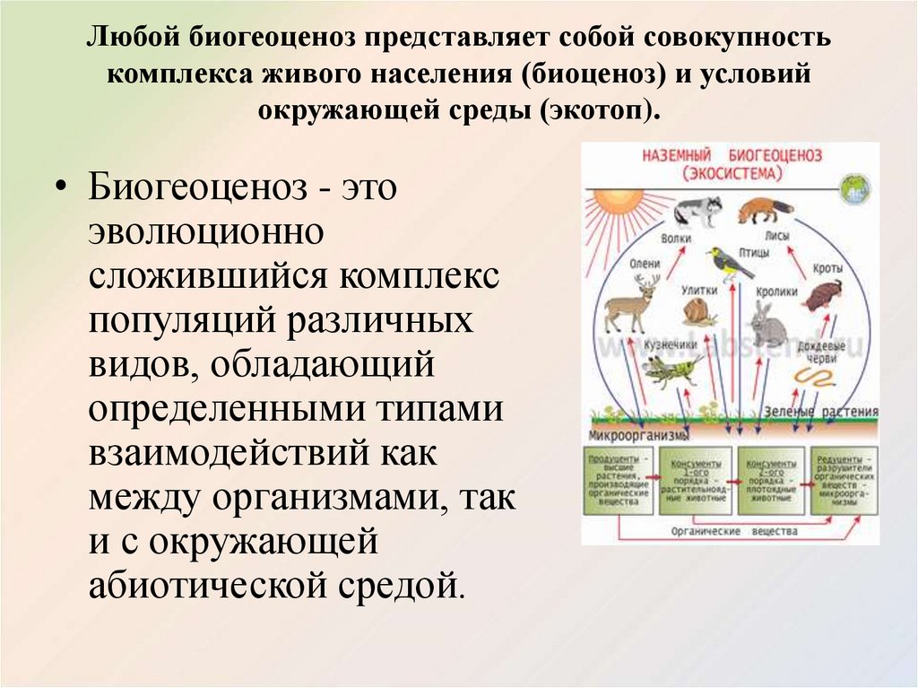 Связь с условиями среды. Экосистема биология биология 9 класс. Структура биоценоза 9 класс биология. Биогеоценоз это в биологии. Биоценоз биогеоценоз экосистема.