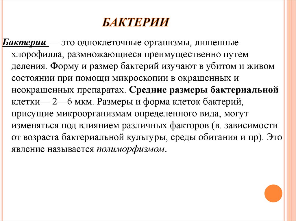 Хальбвакс коллективная память. Классы по Хальбваксу. Размеры микроорганизмов. Хальбвакс социальная морфология. Средние Размеры бактерий.