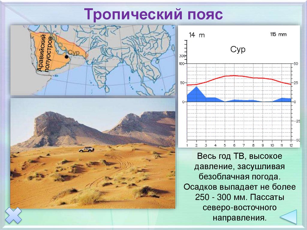 Тропический пояс презентация