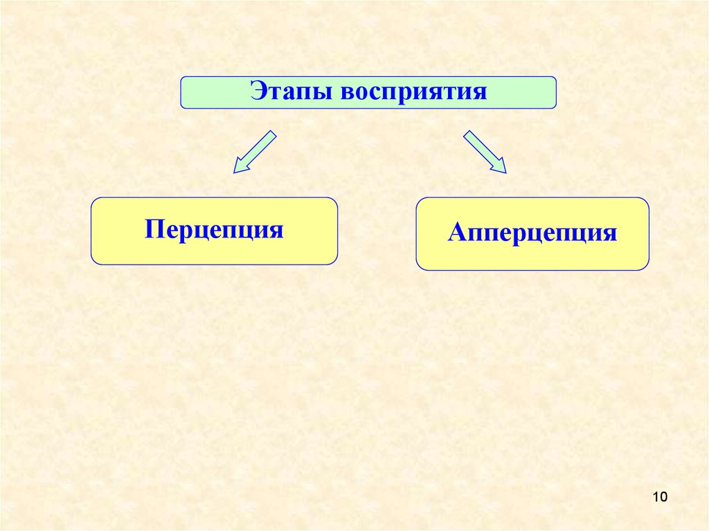 Перцептивный этап. Этапы восприятия перцепция. Уровень познавательной сферы. Сферы психической деятельности. Таблицу «познавательная сфера человека»,.