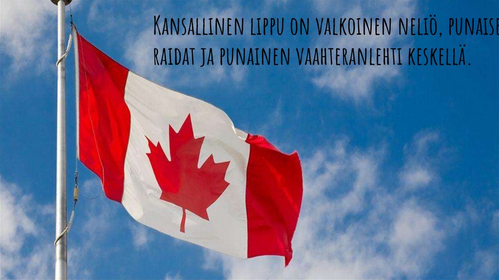 Kansallinen lippu on valkoinen neliö, punaiset raidat ja punainen vaahteranlehti keskellä.