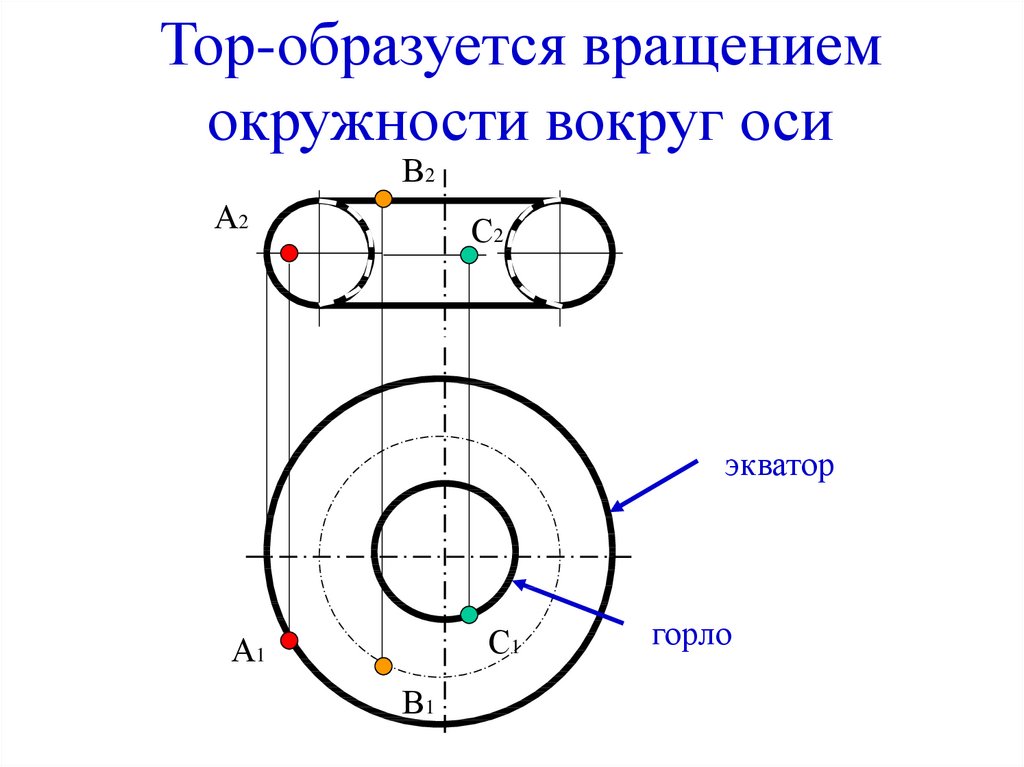Тор-образуется вращением окружности вокруг оси