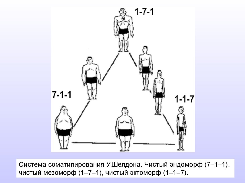 Конституциональные схемы шелдона