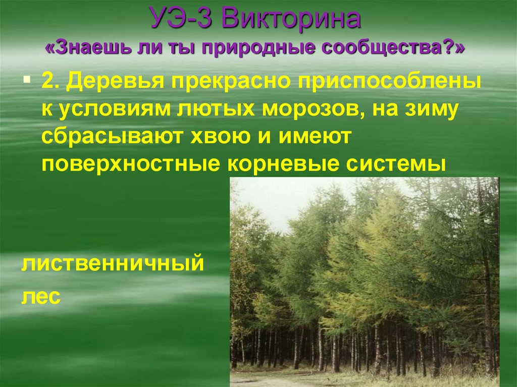 Вопросы на параграф природные сообщества. Природное сообщество деревья. Природные сообщества фото.