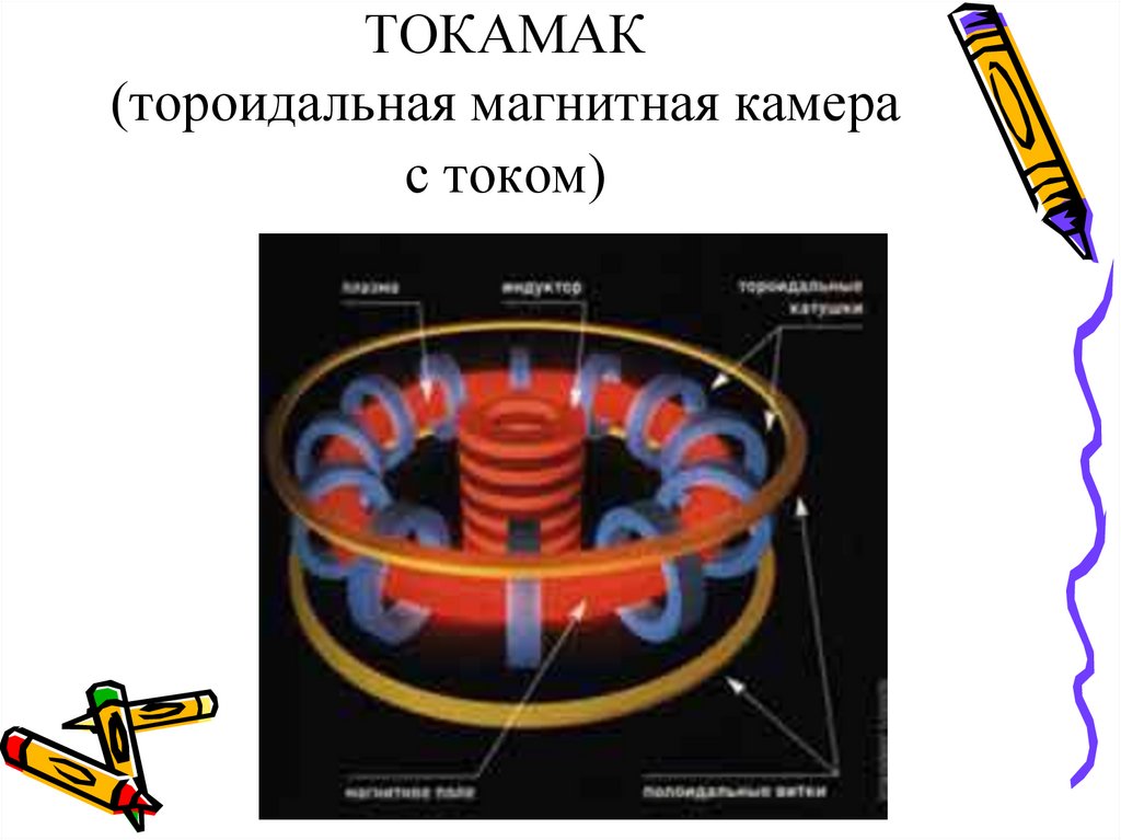 Тороидальная камера с магнитными катушками рисунок