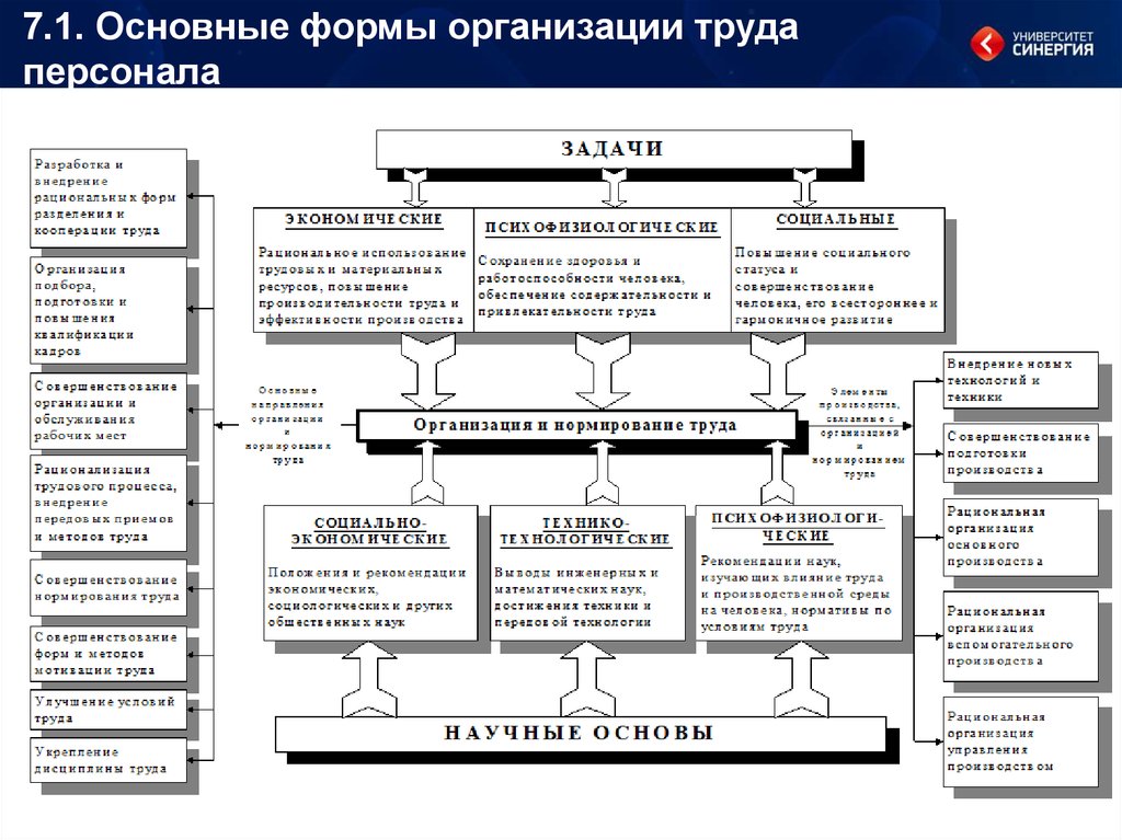 Совершенствование системы управления. Система нормирования труда схема. Задачи научной организации труда схема. Схема нормирования труда на предприятии. Организация труда на предприятии схема.