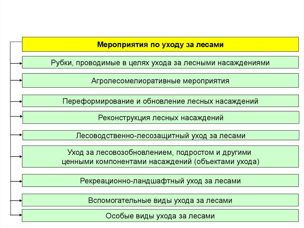 Проект ухода за лесами