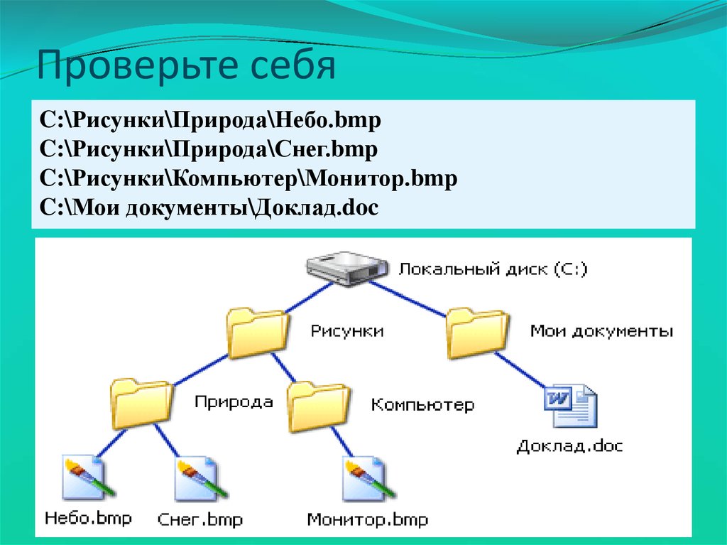 Дерево каталогов. Постройте дерево каталогов c рисунки природа небо.bmp.