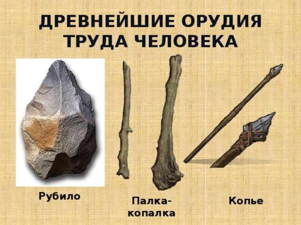 Какие орудия труда использует работник. Палка копалка орудие труда древнейших людей. Палка копалка рубило скребок. Первые орудия древних людей.