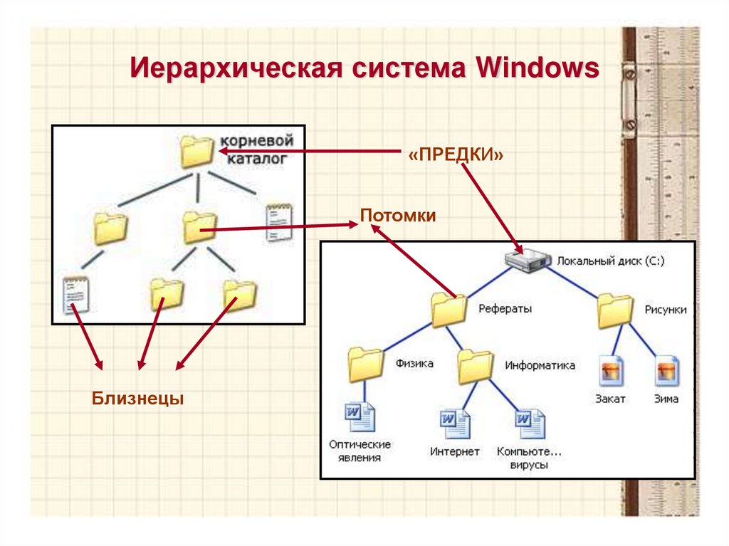 Даны изображения иерархическими системами являются