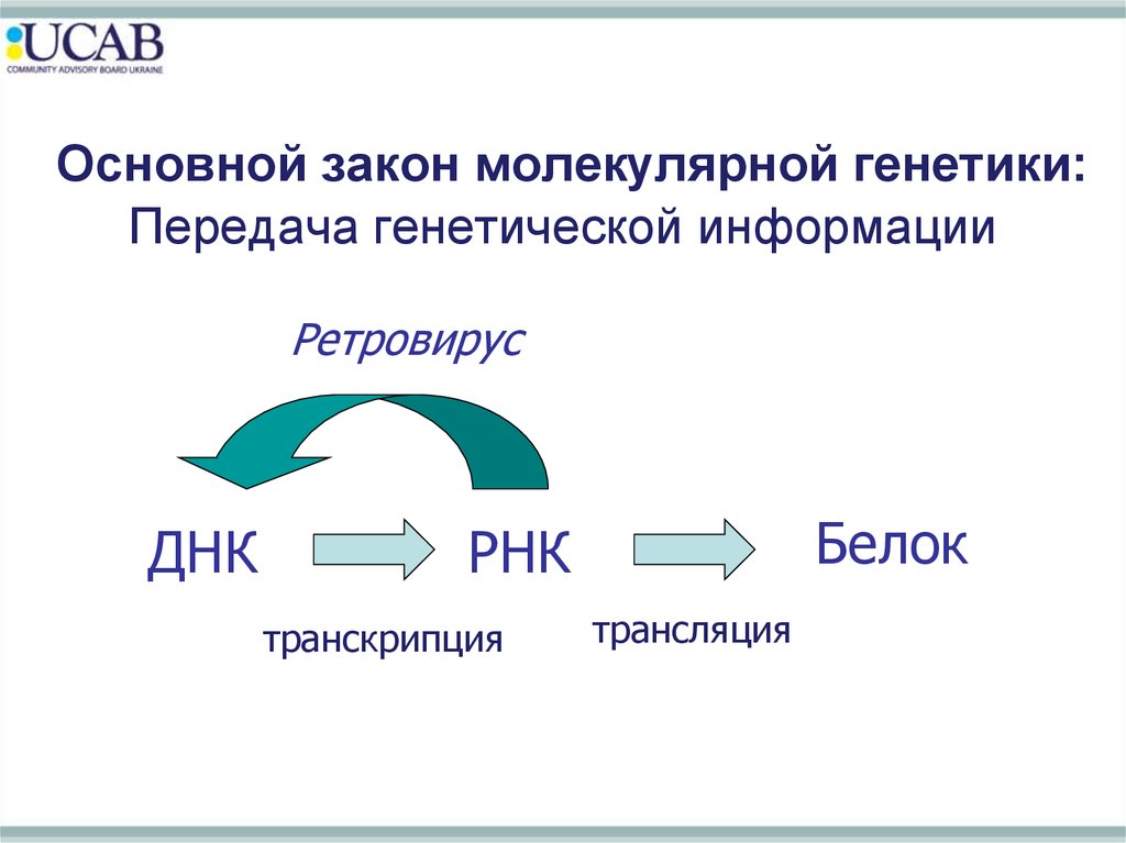 Передача наследственной информации. Транскрипция - передача генетической информации. Передача наследственной информации у вирусов. Носитель генетической информации ВИЧ. Ретровирусы реализация наследственной информации.