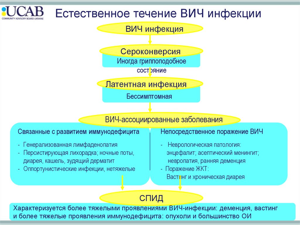 Вич инфекция патогенез схема