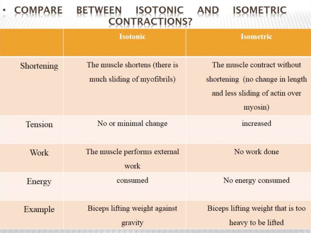 Compare between isotonic and isometric contractions?