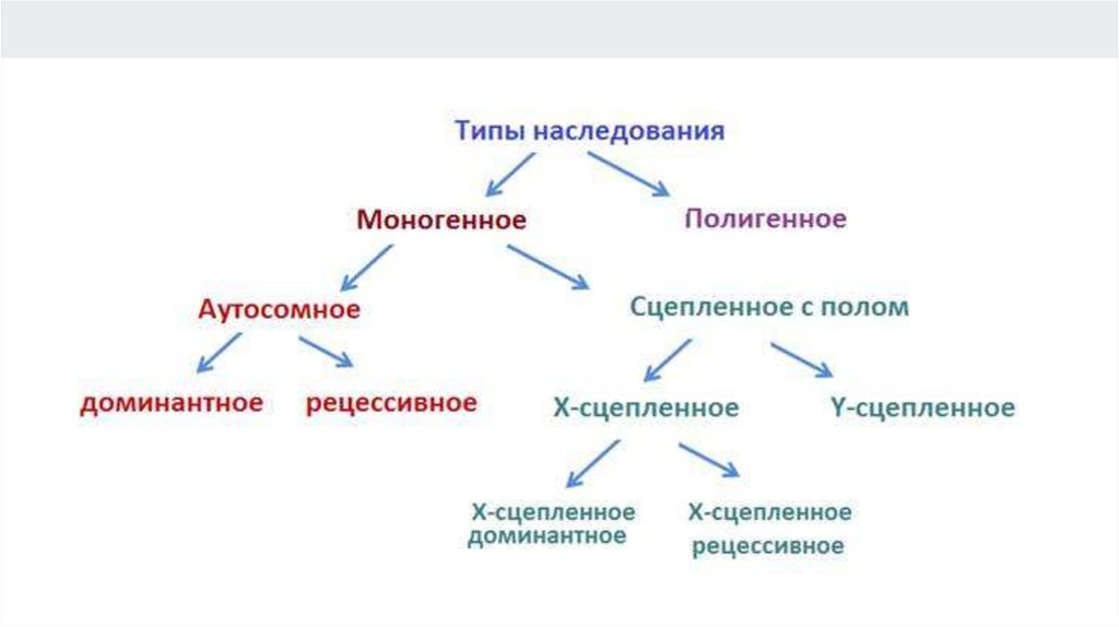 Виды наследования признака. Типы моногенного наследования схема. Типы наследования моногенное и полигенное. Моногенные заболевания классификация. Типы наследования генетика.