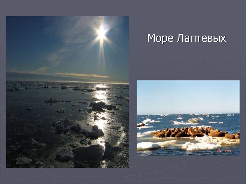 Проект море лаптевых 4 класс окружающий мир