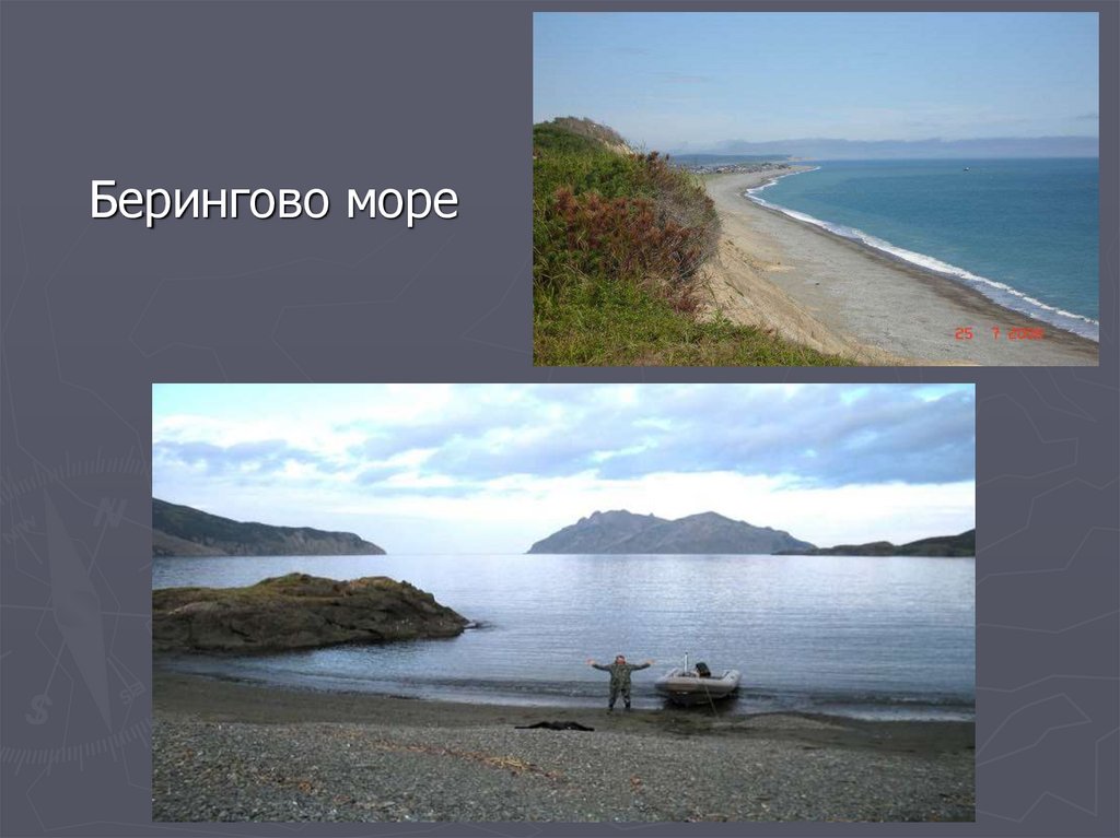 Презентация про берингово море