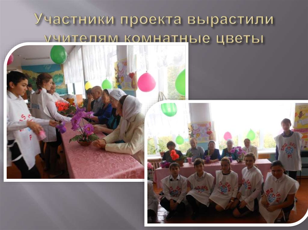 Участники проекта вырастили учителям комнатные цветы