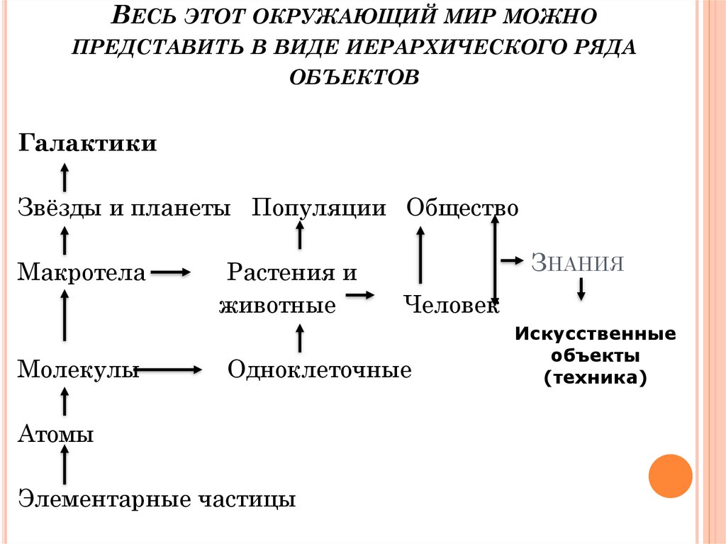 Окружающий мир как иерархическая система 9 класс презентация