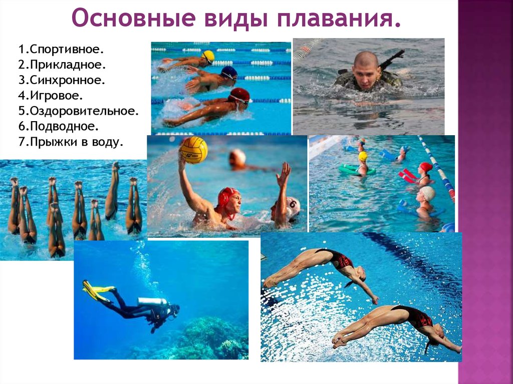 Виды купания. Плавание вид спорта. Виды плавания названия. Разные стили плавания. Виды спортивного плавания.