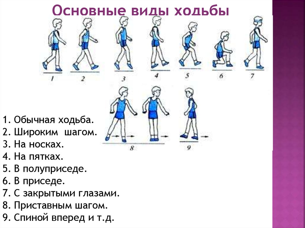 Этап 5 часть 1. Разновидности ходьбы. Виды ходьбы на уроке физкультуры. Разновидности ходьбы упражнения. Упражнения типа ходьбы.