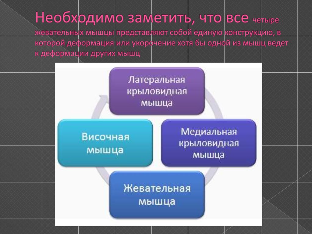 Необходимо заметить, что все четыре жевательных мышцы представляют собой единую конструкцию, в которой деформация или