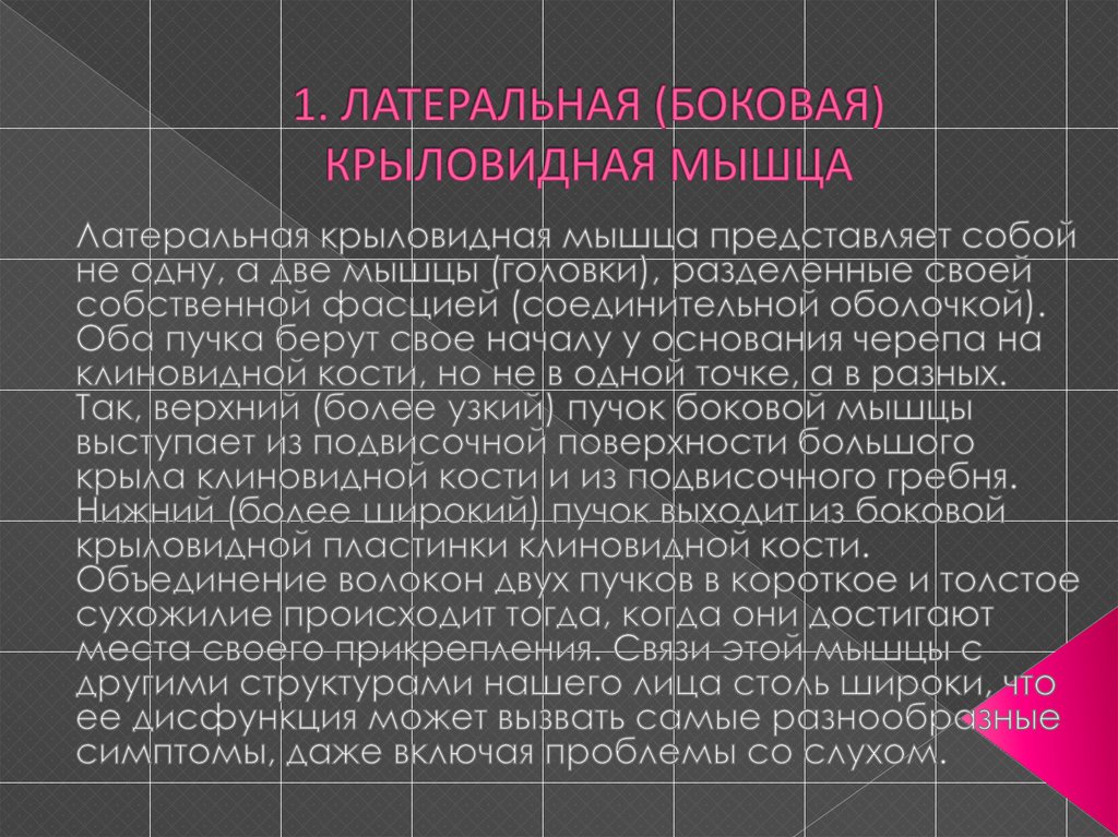 1. ЛАТЕРАЛЬНАЯ (БОКОВАЯ) КРЫЛОВИДНАЯ МЫШЦА