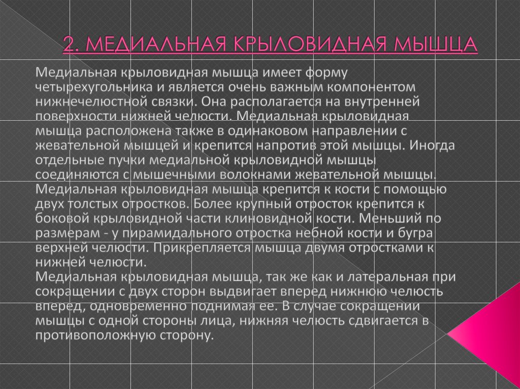 2. МЕДИАЛЬНАЯ КРЫЛОВИДНАЯ МЫШЦА