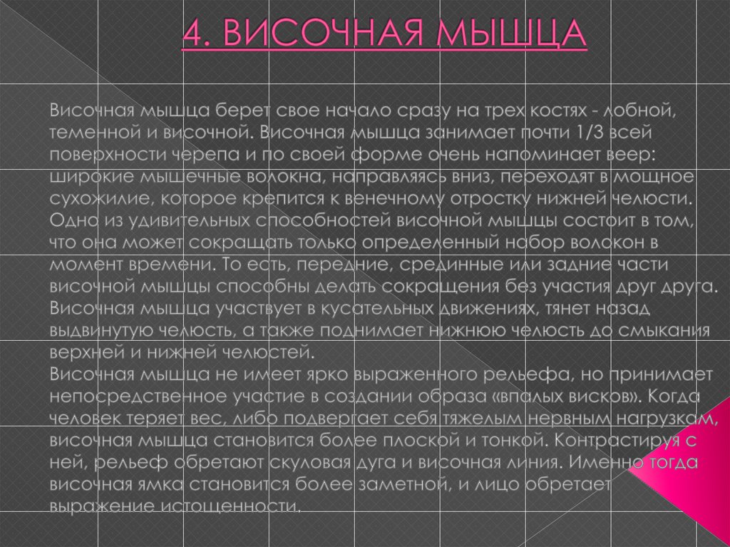 4. ВИСОЧНАЯ МЫШЦА