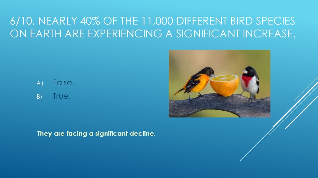 6/10. Nearly 40% of the 11,000 different bird species on Earth are experiencing a significant increase.