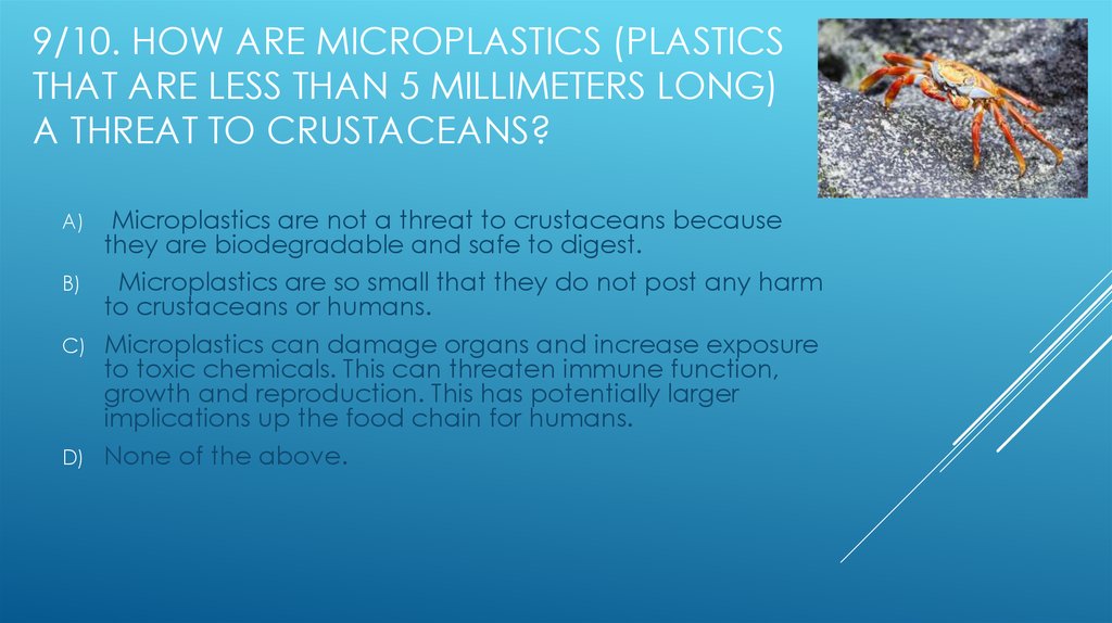 9/10. How are microplastics (plastics that are less than 5 millimeters long) a threat to crustaceans?