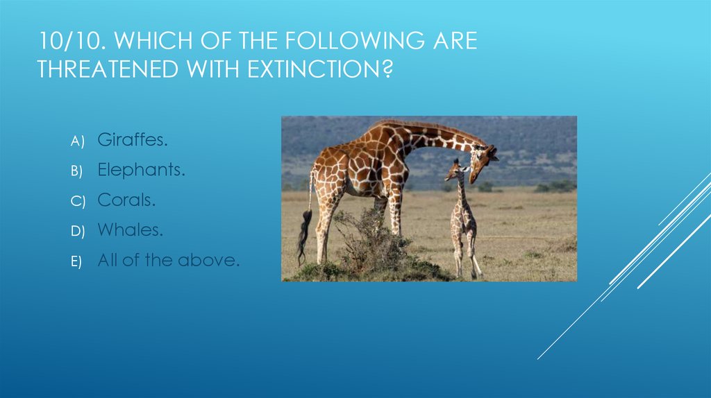 10/10. Which of the following are threatened with extinction?