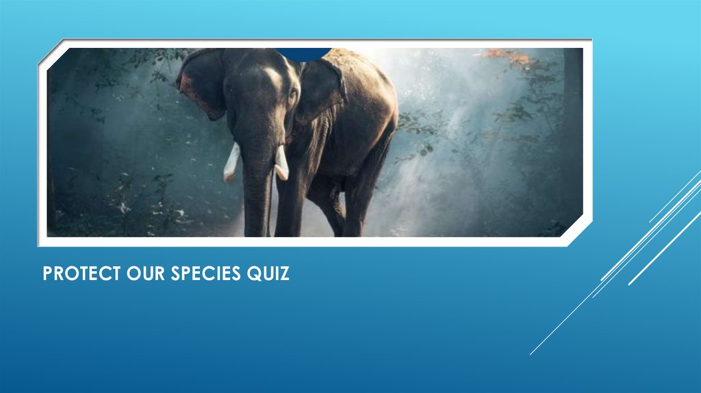 PROTECT OUR SPECIES QUIZ