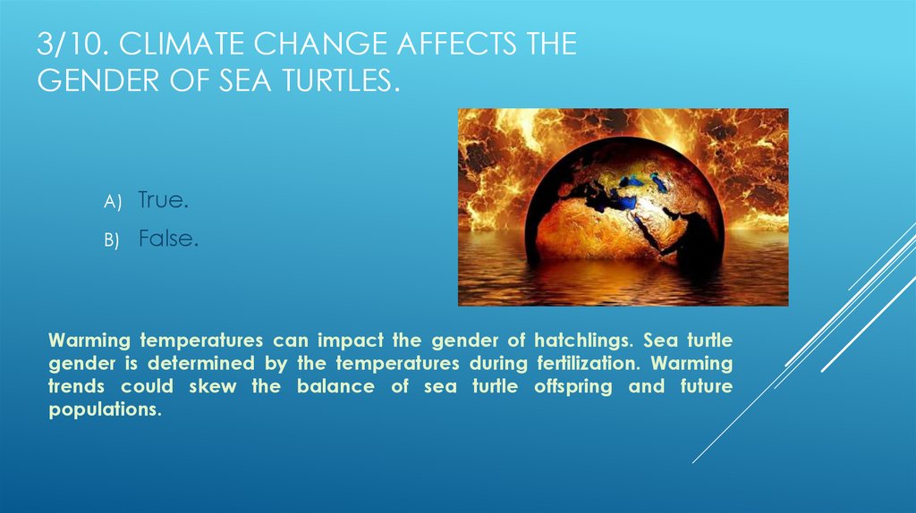 3/10. Climate change affects the gender of sea turtles.