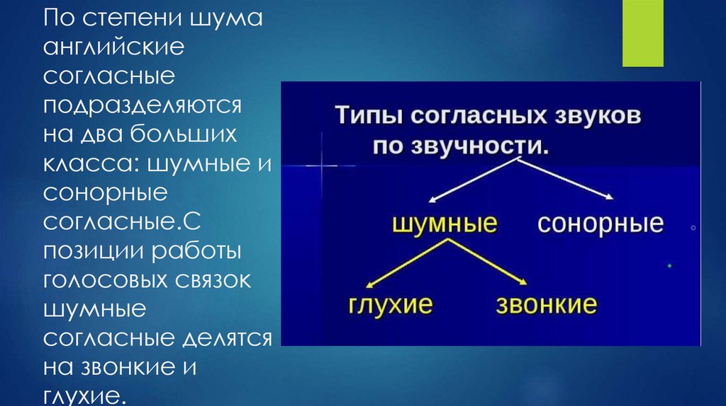 Сонорные и шумные согласные. Глухие и звонкие согласные по работе голосовых связок. Классификация англ согласных с позиции степени шума. По степени участия шумовых составляющих согласные делятся на. Шумный согласный в английском.