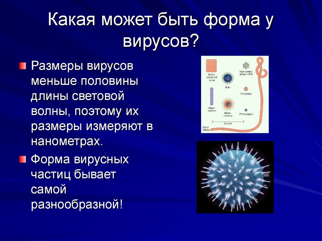Вирусы названия 5 класс. Вирусы презентация. Сообщение о вирусе по биологии. Вирусы доклад. Сообщение о вирусах.