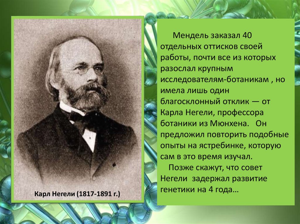 Грегор Иоганн Мендель (20 июля 1822— 6 января 1884 гг ...