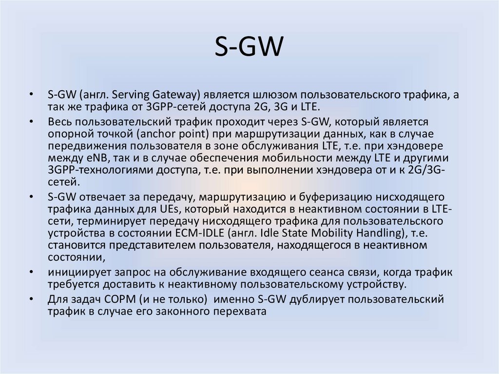 S-GW