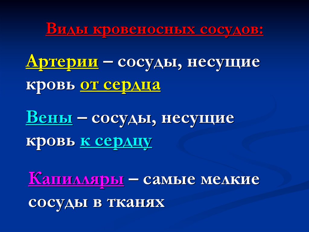 Вены это сосуды несущие. Сосуды несущие кровь от сердца. Сосуды несущие кровь к сердцу называются. Артерии это сосуды несущие кровь. Сосуды несущие кровь к сердцу у рыб.