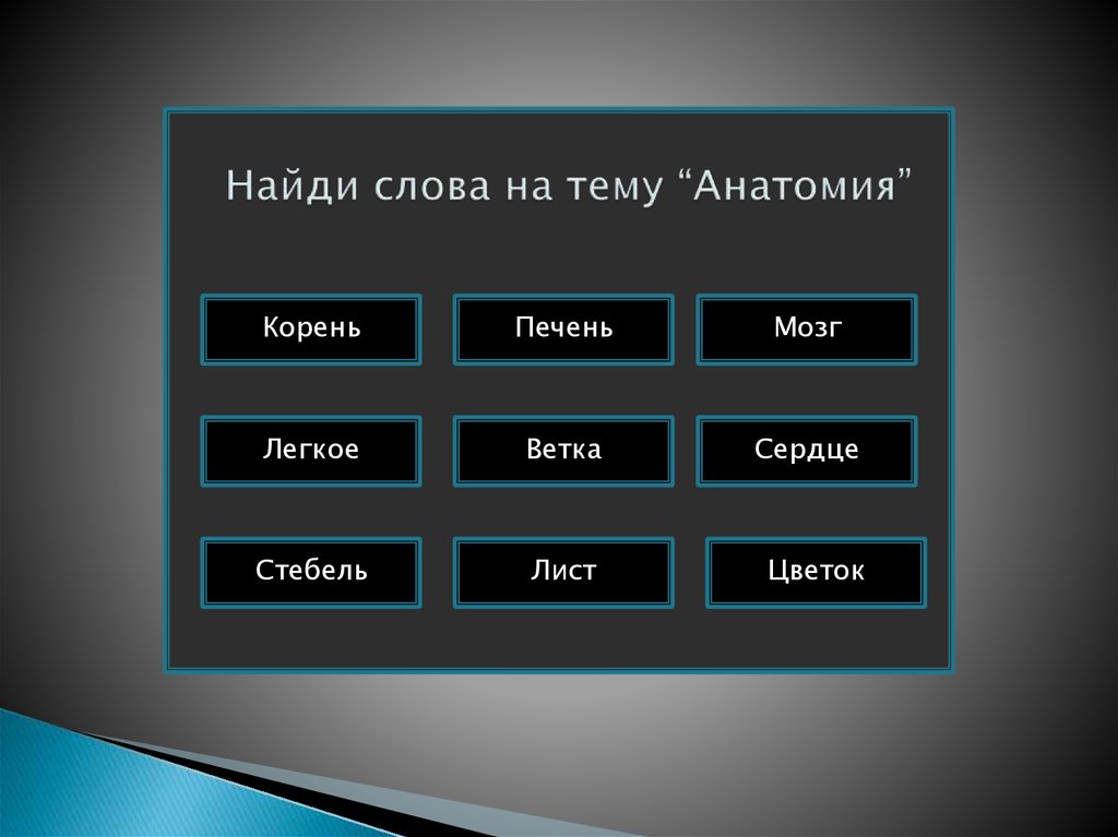 Найди слова на тему “Анатомия”