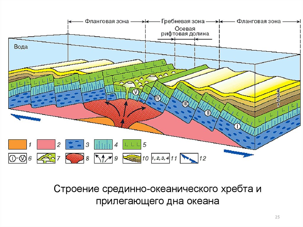 5 слоев океана. Рифтовых зонах срединно-океанических хребтов. Рифтовая зона средне-океанических хребтов. Срединно-океанический хребет схема. Срединно-океанический хребет строение.