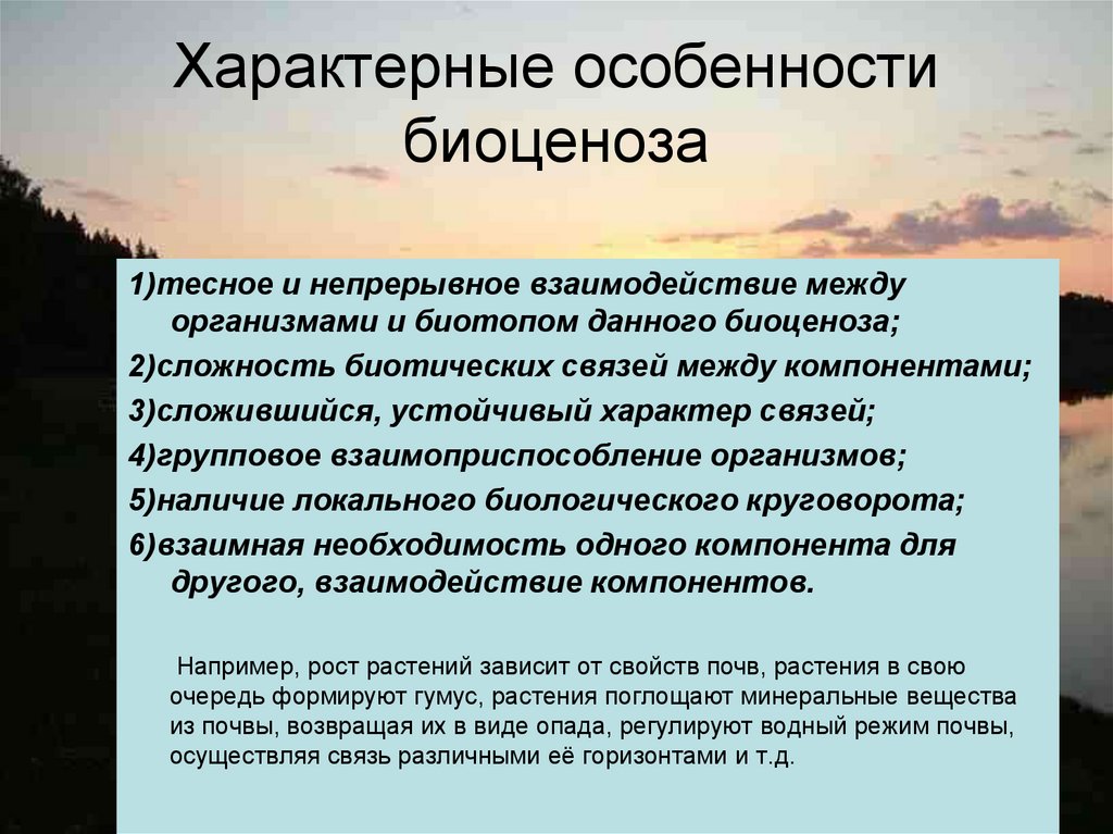 Наибольшее разнообразие видов характерно для биоценоза