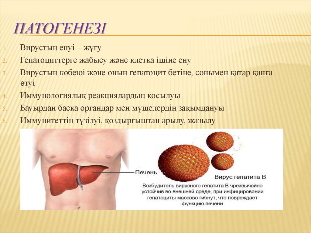 Гепатит б 6. Патогенез гепатита в. Гепатит презентация. Гепатит д. Гепатит б презентация.