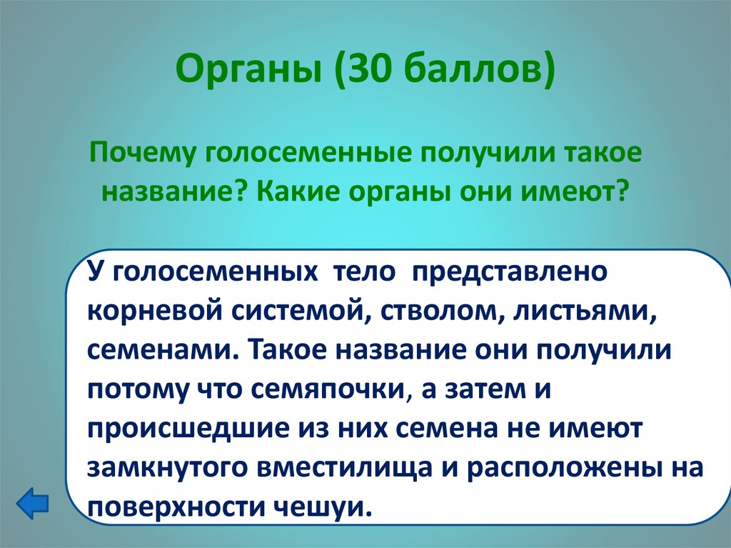 Почему баллы