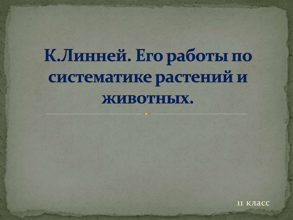 К.Линней. Его работы по систематике растений и животных.