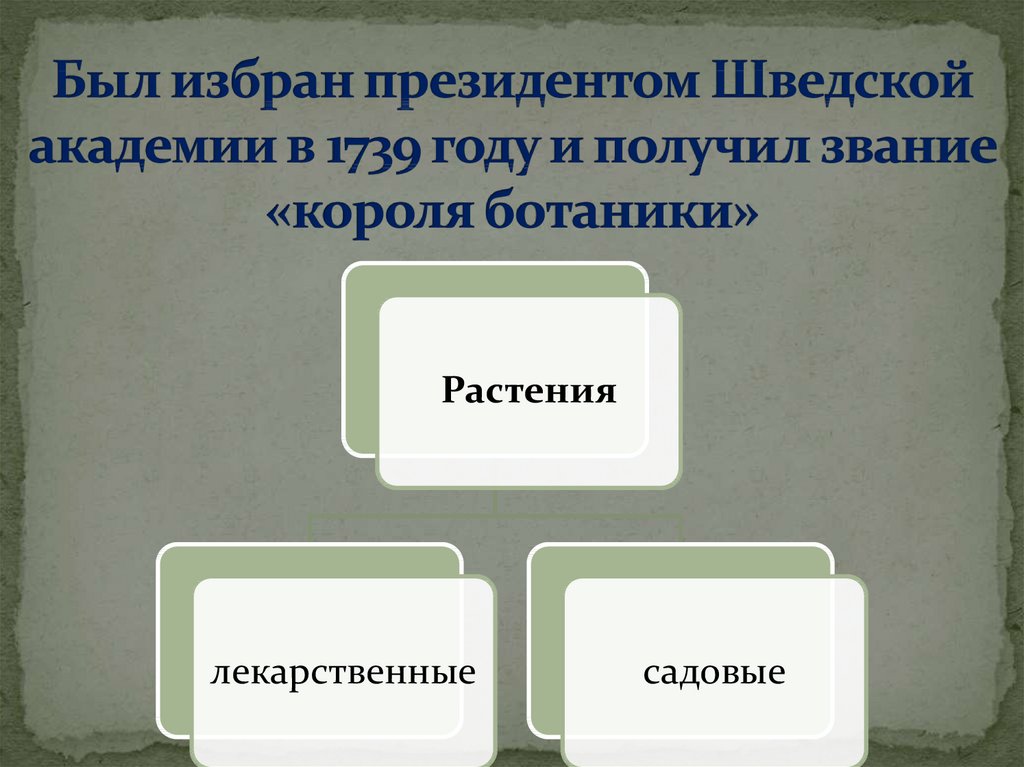Был избран президентом Шведской академии в 1739 году и получил звание «короля ботаники»